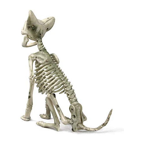 Gato Esqueleto, Gato De Plástico Agachado Y Sentado, H...