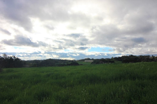 Imagem 11 de 13 de Terreno À Venda, 2500 M² Por R$ 960.000,00 - Centro - Campo Magro/pr - Te0364