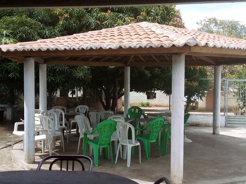 Imagem 4 de 5 de Chácara A Venda.