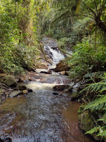 Imagem 10 de 12 de Terreno Em Miracatu-sp Medindo 8 Alqueires Com Cachoeira