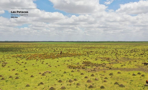 Campo De 255 Hectáreas En Las Petacas, Santa Fe