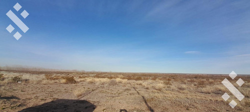 Campo En Senillosa