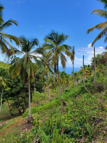 Terreno En Las Terrenas