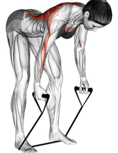 Corda Elástica De Treino Muscular Preta 1,20m Com Puxadores