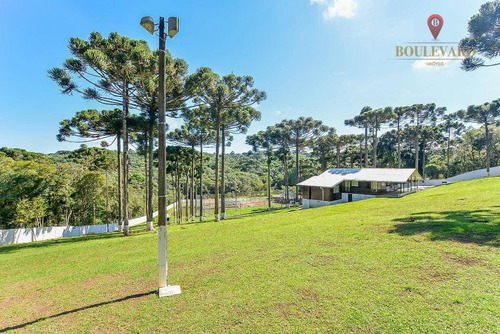 Imagem 2 de 18 de Chácara À Venda, 11734 M² Por R$ 1.200.000,00 - Santa Gema - Colombo/pr - Ch0003