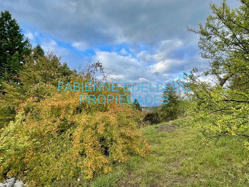 Imagen 7 de 20 de Terreno 2000 M2 En Peñon Del Lolog - San Martin De Los Andes