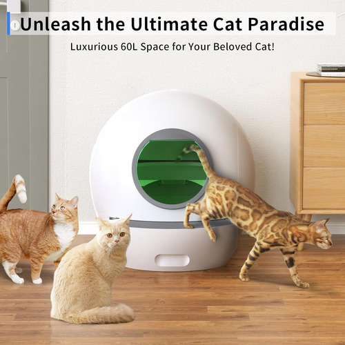 Arenero Con Limpieza Automática Para Gatos Premium