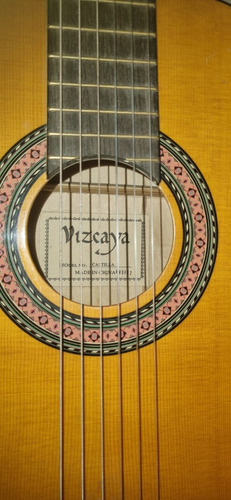 Guitarra Vizcaya. Incluye Funda