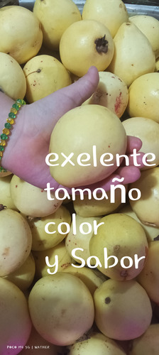 Ponche Expréss Fruta Deshidratada Caja Con 3 Bolsas, Tizanas