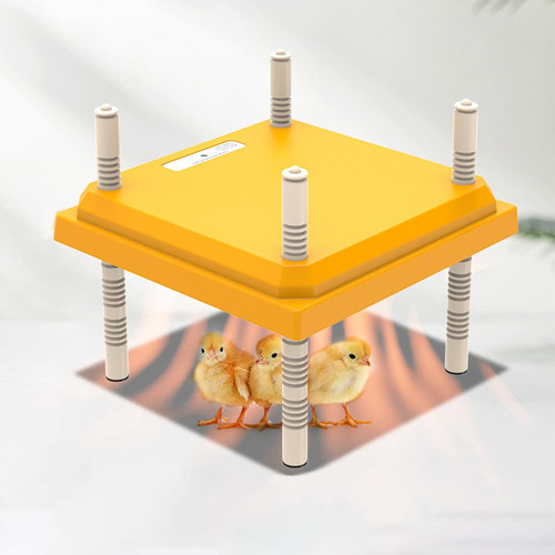 Placa Calefactora Para Incubadora De Pollos, Calentador
