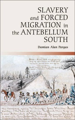 Slavery And Forced Migration In The Antebellum South - Da...