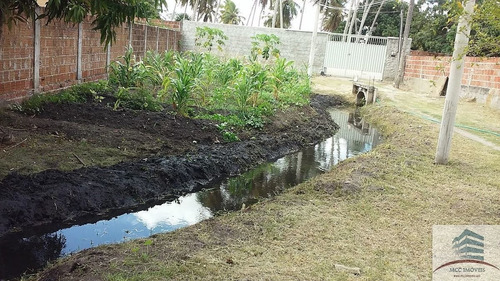 Imagem 10 de 21 de Granja A Venda Em Mangabeira, Macaíba