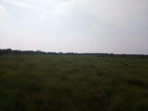 Venta Rancho Ganadero 100 Hectáreas Tamiahua Veracruz