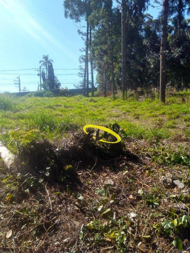 Imagem 2 de 9 de Terreno À Venda, 1015 M² Por R$ 300.000,00 - Chácara Represinha - Cotia/sp - Te0819