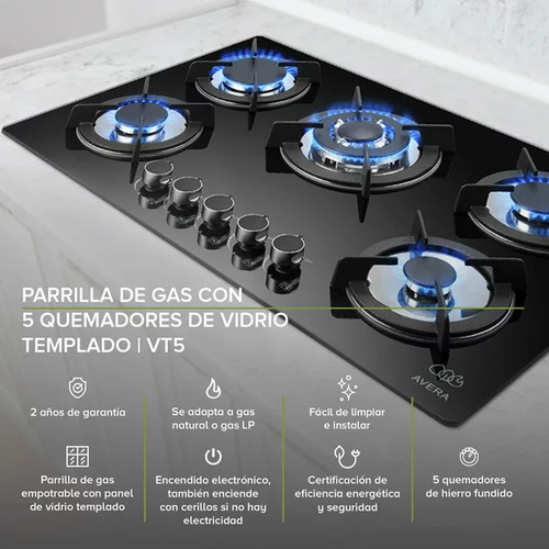 Campana Y Parrilla De Gas Marca Avera