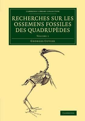 Libro Recherches Sur Les Ossemens Fossiles Des Quadrupede...