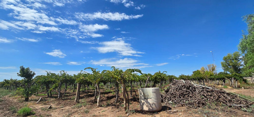 Venta Finca El Carrizal
