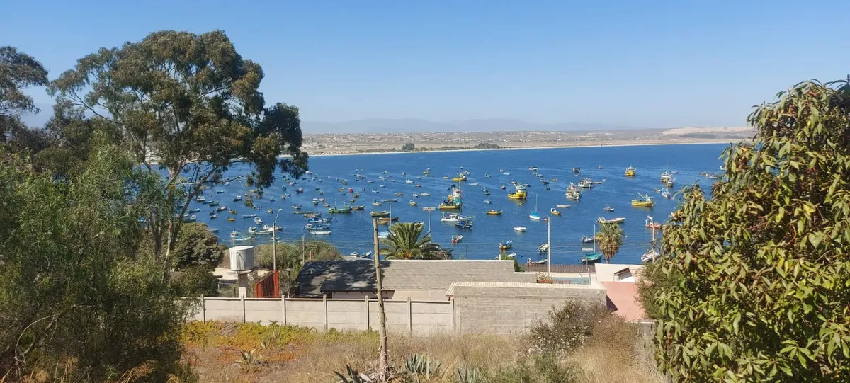 Imagen 1 de 18 de Casa En Península De Tongoy, Vista Maravillosa E Inigualable