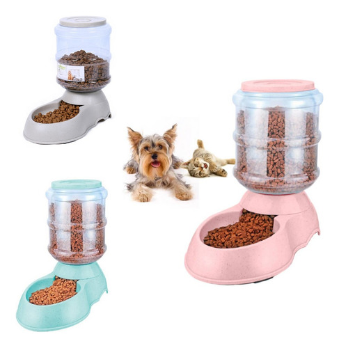 Dispensador De Alimento Automático Para Mascotas Perro Gato