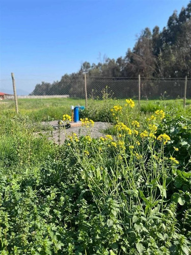 Imagen 9 de 23 de Sitio En Venta En Isla De Maipo