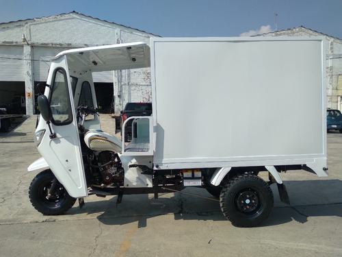 Motocarro Gasolina Muevetec 2025 Rex Se Caja Cerrada 250cc