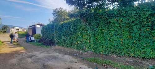 Residencia Comercial Y Confort : Tu Nuevo Hogar