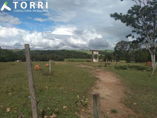 Sítio À Venda Em Porto Feliz - St00138 - 69329856