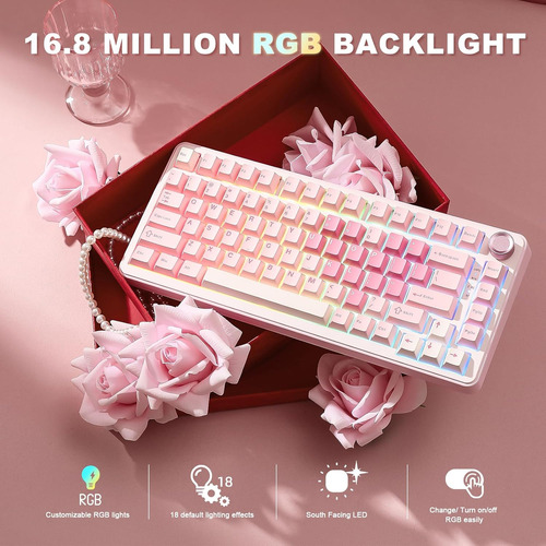 Yunzii B75pro Mechanical Keyboard,75% V2 Switch Pink