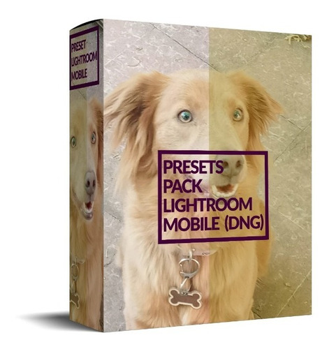 Preset Mobile Lr - Ultra Pack 200 Colecciones (dng Preset)