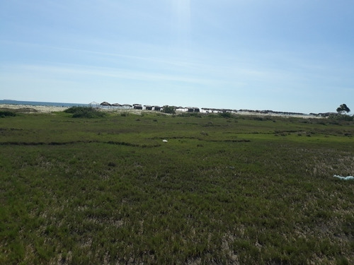 Imagen 8 de 9 de Rosa Aquino. Terreno En Chichiriviche Playa Norte. Cód.: 426279.0414-4817872