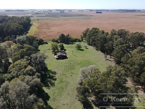 Imagen 10 de 25 de Campo De 705 Has En Venta En Necochea - Mixto Con Casco - 70 % Agricola.