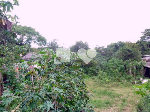 Imagem 2 de 9 de Terreno - Vila Nova - Ref: 32341 - V-54319670