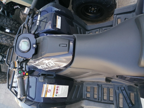 Imagen 14 de 14 de Cuatriciclo Artic Cat 700 Xt