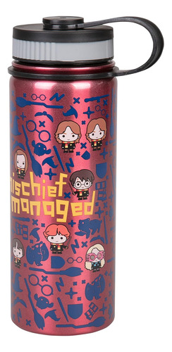 Harry Potter - Botella De Agua De Acero Inoxidable, 18.6 Fl