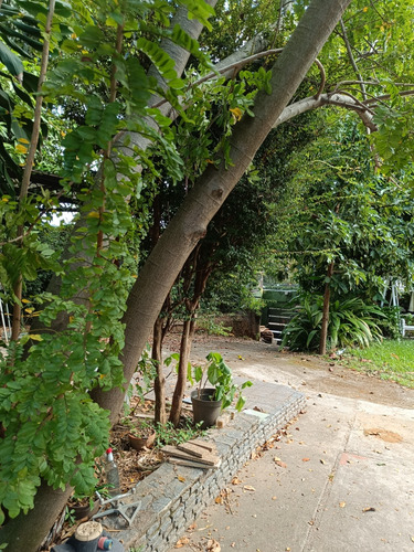 Altamira Venta Casa 700 M2 De Construccion Terreno 940 M2 Aproximadamente Exelente Arquitectura Es Par Remodelar