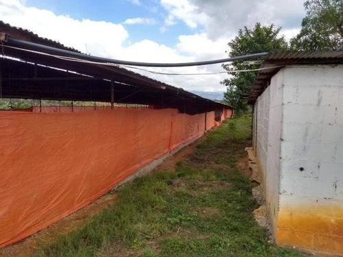 Imagen 20 de 30 de Jose Lopez Ofrece Finca ( Granja Avícola / Agrícola ) En Venta Vía A Duaca Caserio Guayabal Cordero Lara, Venezuela ,j G L Rent - A - House Telf. 0414-5533925 Cod # 22-16836 $ 15000