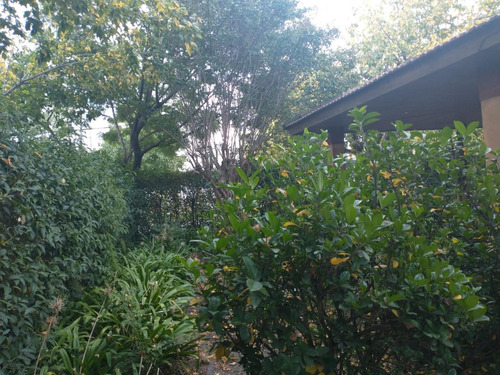 Imagen 16 de 23 de Casa Con Terreno En