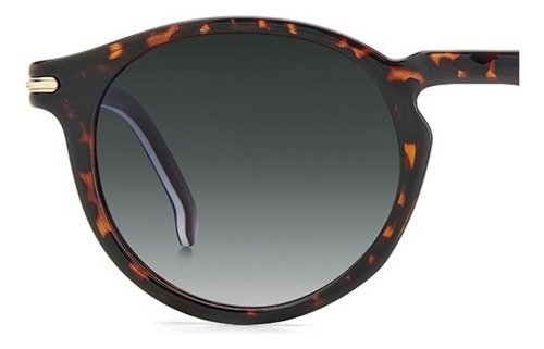 Óculos De Sol Carrera Tartaruga 301/s 086 509k S