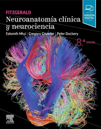 Libro Neuroanatomia Clinica Y Neurociencia. 8ª Ed., De Fitzgerald. Editorial Elsevier, Tapa Tapa Blanda En Español