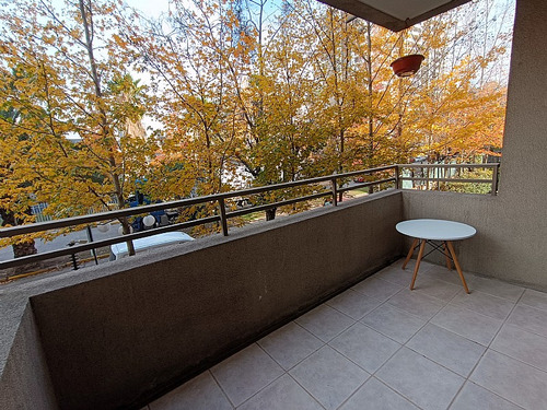 Arrendamos Departamento 2d2b1e1b