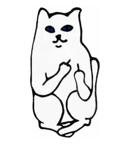 Pin Diseño Divertido Gato Blanco