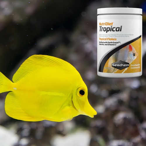 Ração Seachem Nutridiet Tropical Flakes C/ Probio 100g