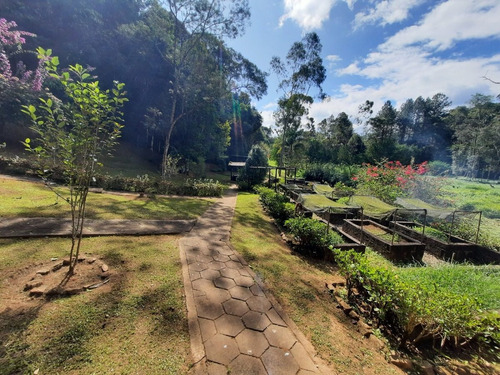 Imagem 27 de 30 de Sítio Em São Lourenço Rico Em Agua