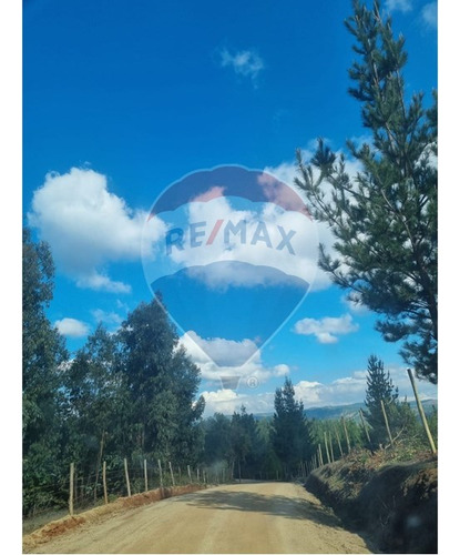 Venta De Parcela En Hualañe