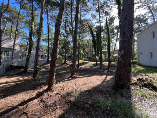 Lote Residencial Con Salida Al Golf En Carilo