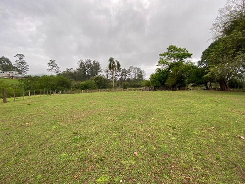 Chácara 19.000 M² - Santa Cruz - Gravataí - Rs - 2447 - 68463646