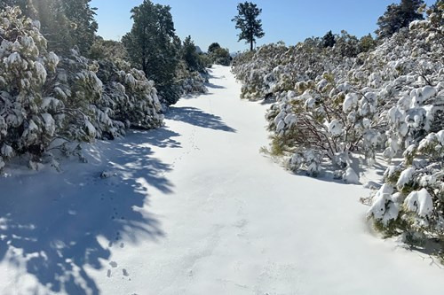 Valle Del Pinal En La Sierra Juarez A 7 Min. De La Laguna Hanson!! ¿buscas Un Espacio Ideal Par...