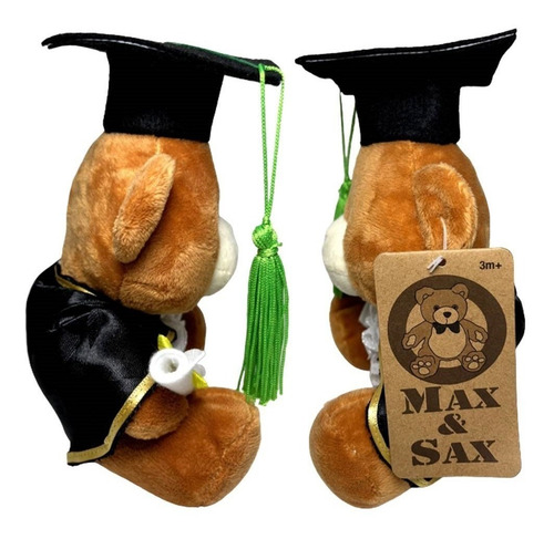 Imagem 3 de 4 de Boneco Pelúcia Pequeno Urso Ursinho Marrom Formatura Diploma