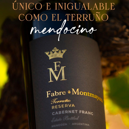 Vino Tinto Fabre Montmayou Terruño Cabernet Franc Reserva