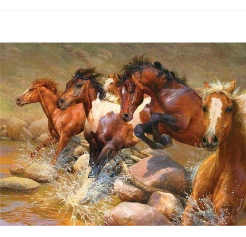 Pintura Diamante Artesania Corcel Caballo Rio Mar Paisaje